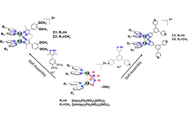 Molecular Structures and Catalytical Performance in Suzuki-coupling Reaction of Novel Dipalladium Clip-shaped Complexes with Bifunctional Pyrazolate Ligands 2011-3174